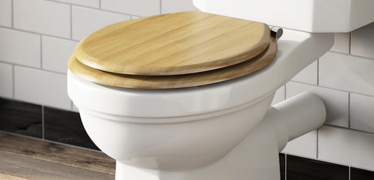 Toilet seats buying guide